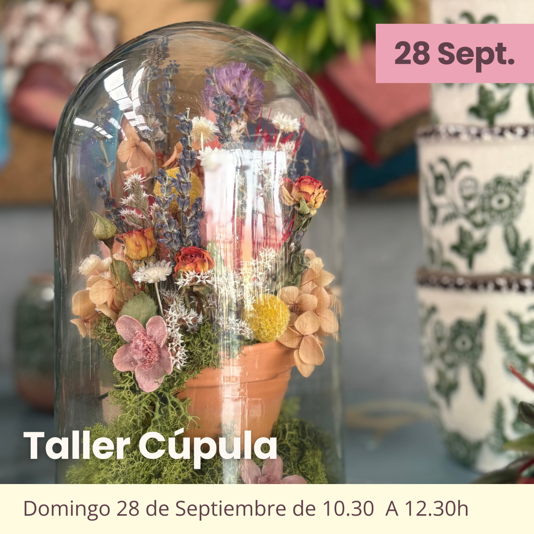 Taller Deco: Cúpula