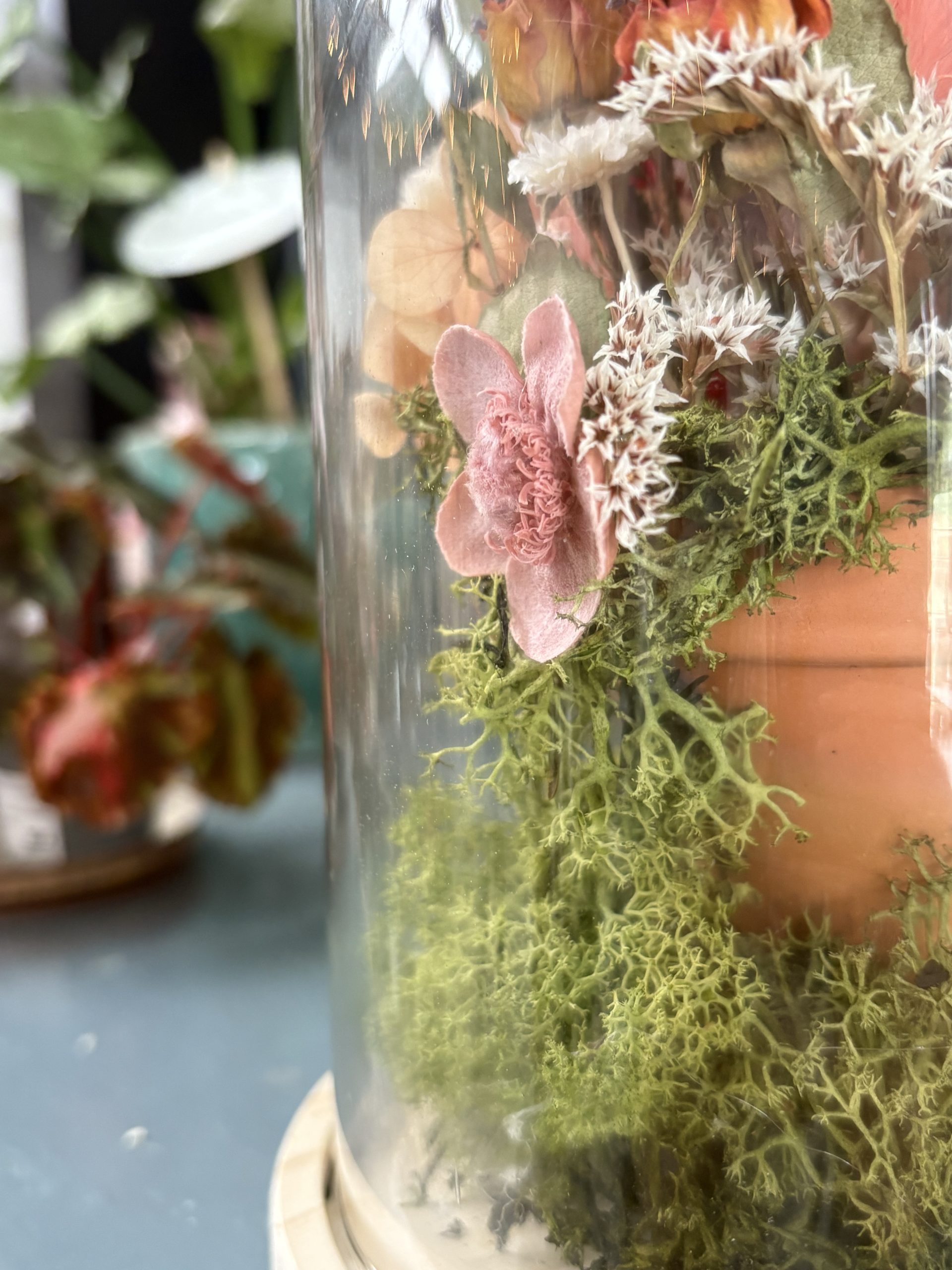 Taller Deco: Cúpula - Imagen 2