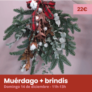 Taller "Muérdago" Domingo 14