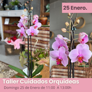 Taller Cuidados Orquideas